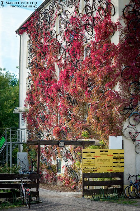 Altlandsberg Bicycle Shop