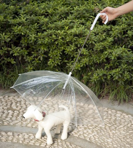 Transparent Pet Umbrella