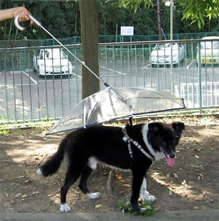 Dog Umbrella with Leash