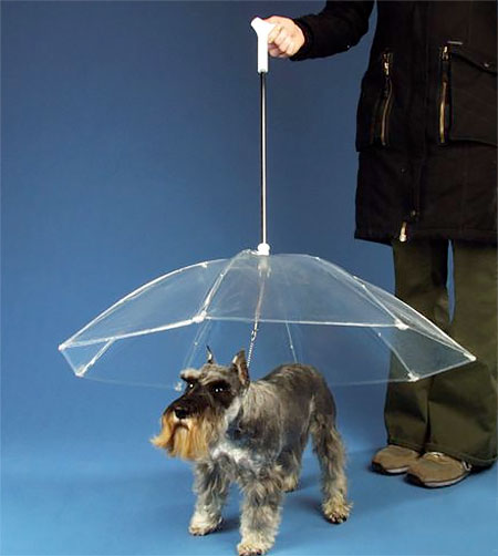 Dogbrella