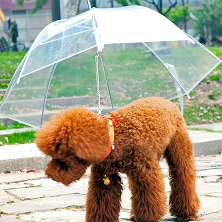 Dog Raincoat