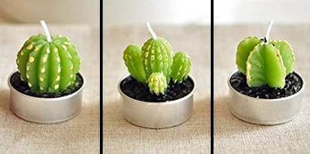 Cactus Candles