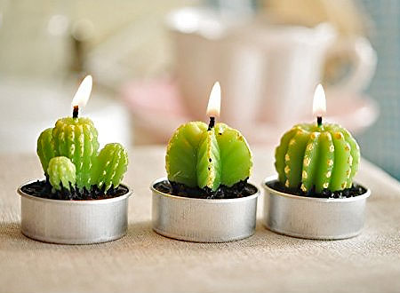 Cactus Candle