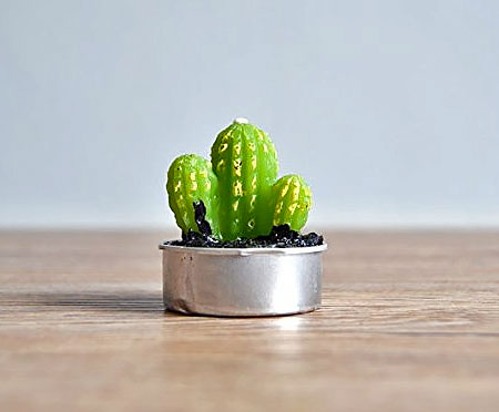 Realistic Cactus Candle