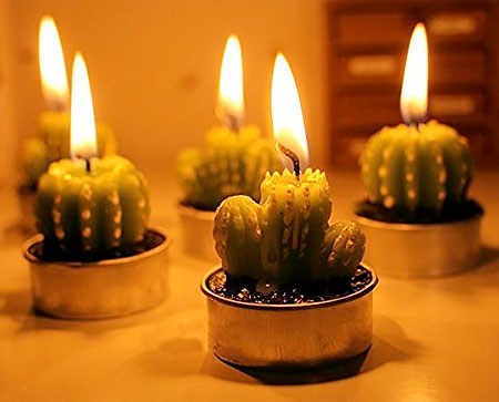 Cactus Shaped Candles