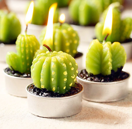 Cacti Candles