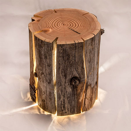Ed Log Lamps, Lamps Made From Wood Logs