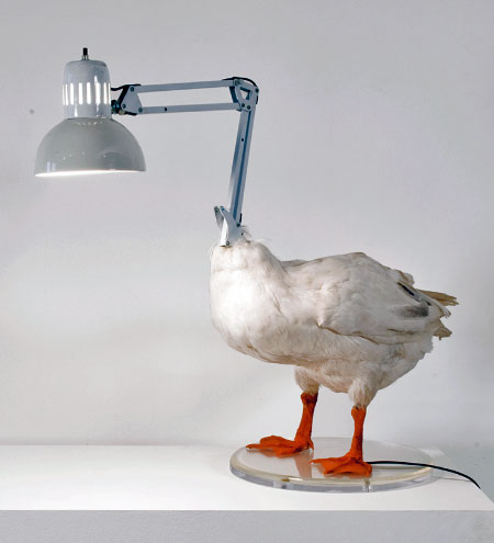 Duck Lamps