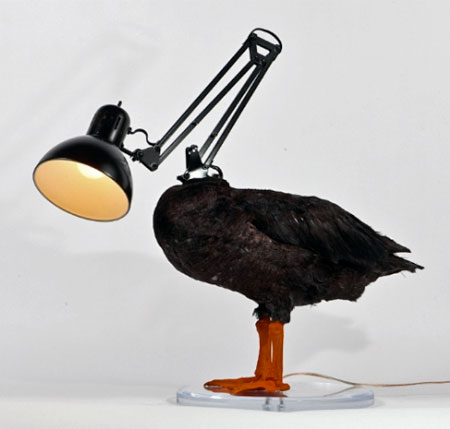 Sebastian Errazuriz Duck