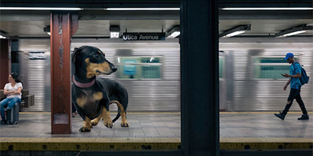 Giant Dog in Brooklyn