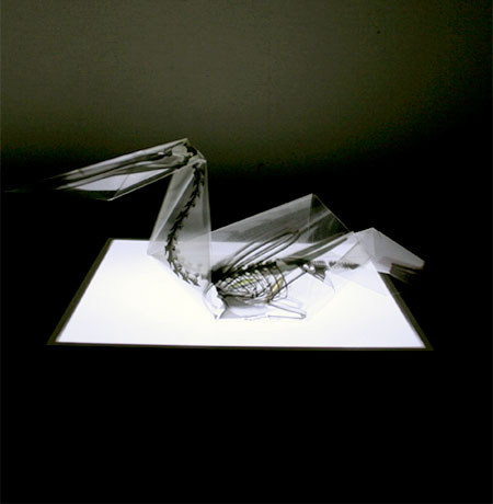 Takayuki Hori X-Ray Origami