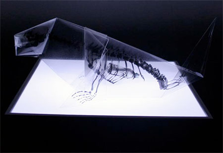 Takayuki Hori X-Ray Origami Birds