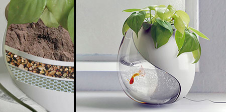 Fish Bowl Planter