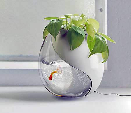 Fishbowl Flower Pot