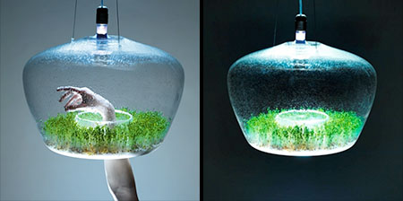 Greenhouse Lamp