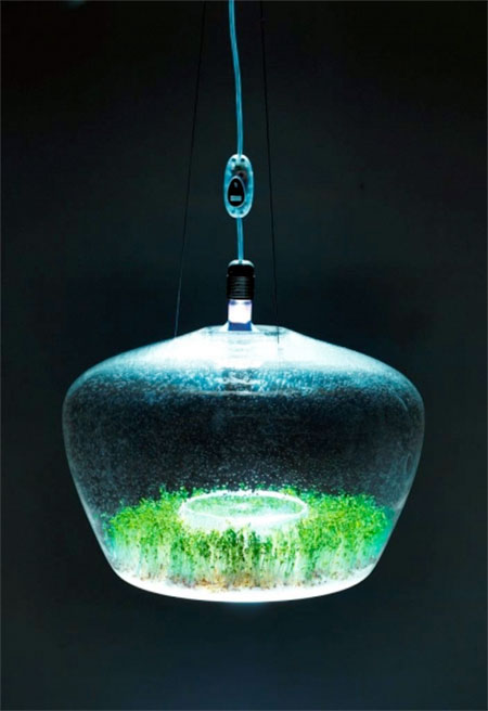 Kristyna Pojerova Greenhouse Lamp