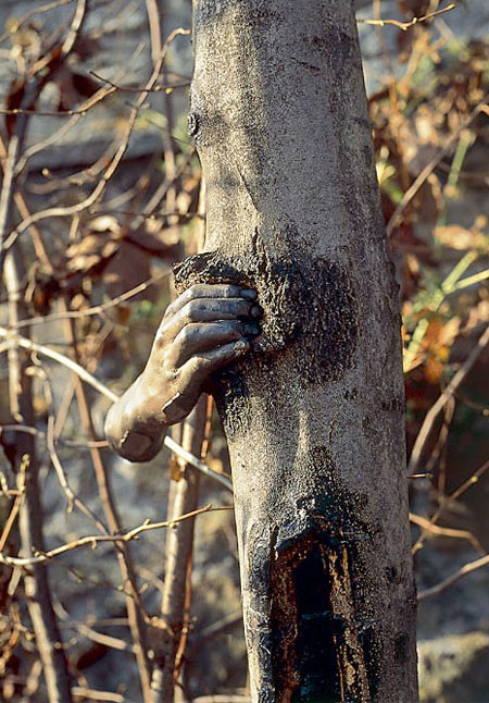 Giuseppe Penone