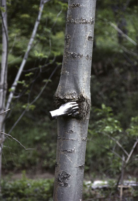 Giuseppe Penone Tree Hand