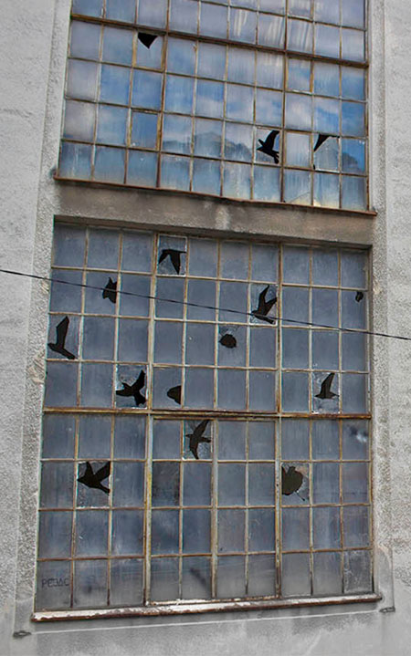 Broken Windows Bird