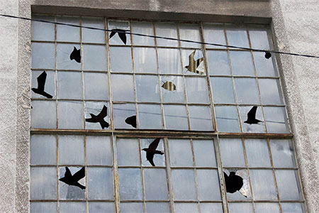 Broken Windows Street Art