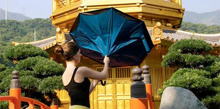 Inside Out Umbrella