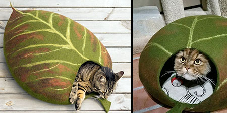 Leaf Cat Bed