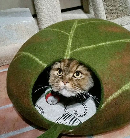 Leaf Shaped Cat Bed