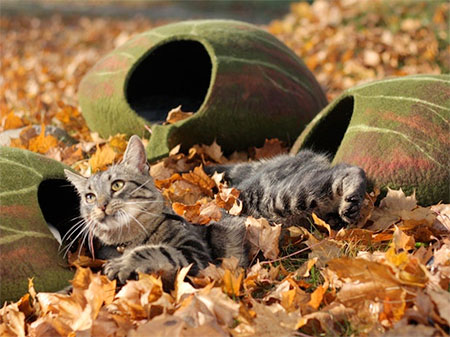 Leaf Pet Bed