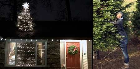 Giant Christmas Tree Giant Christmas Tree
