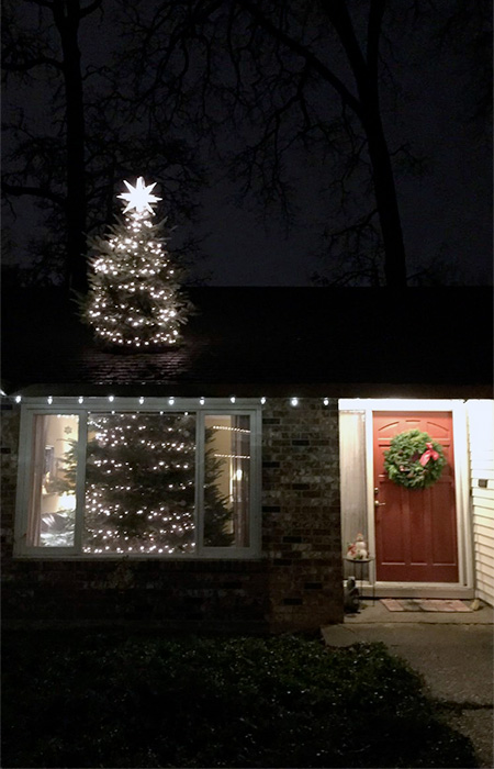 Roof Christmas Tree