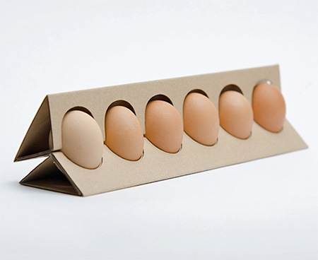 Egg Carton