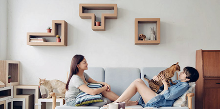 Tetris Shelves