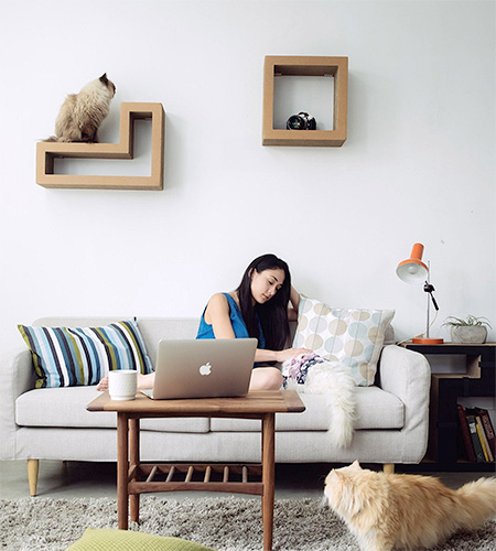 Tetris Cat Bookshelves