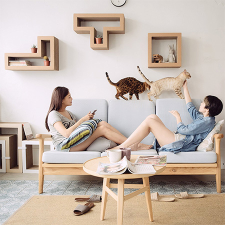 Modular Cat Shelves