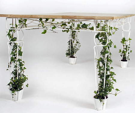 Plants Table