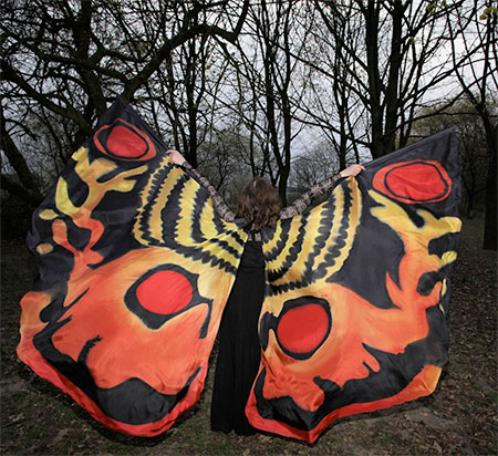 Dorota Drzewiecka Butterfly Wings Scarves