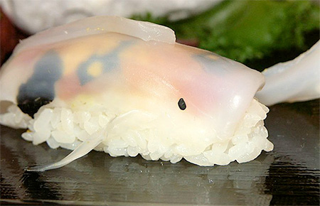 Fish Shaped Sushi