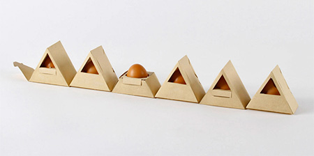 Cardboard Egg Packaging