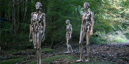 Driftwood Humans