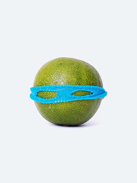 David Schwen Teenage Mutant Ninja Limes