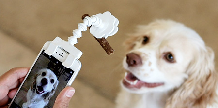 Dog Selfie Phone Attachment