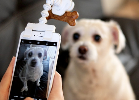 Pet Selfie Phone Attachment