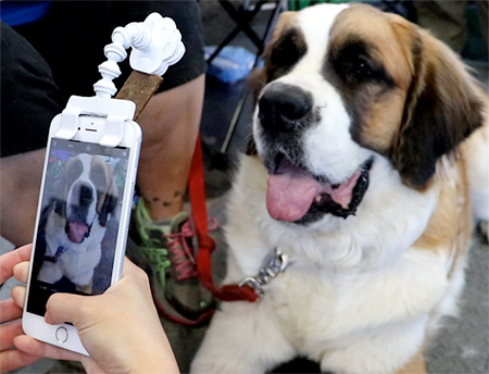 Pet Treat Phone Attachment