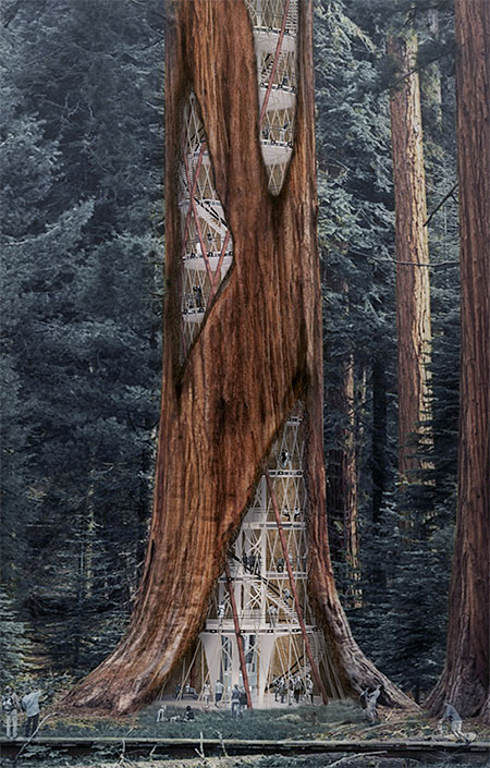 Giant Tree Skyscraper Concept