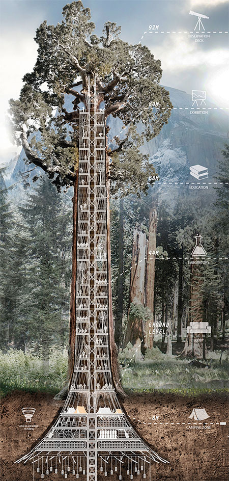 Sequoia Tree Skyscraper