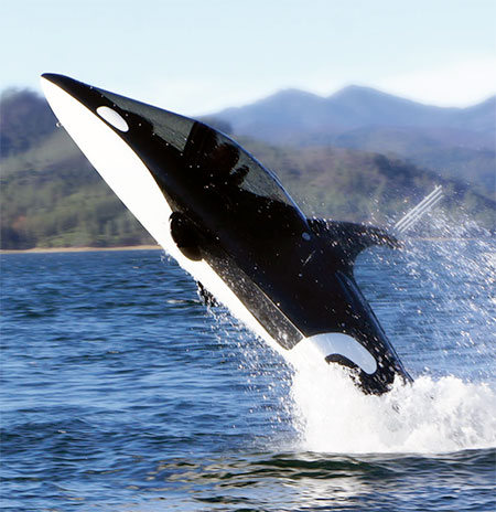 Whale Personal Submarine