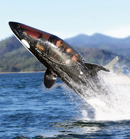 Killer Whale Submarine