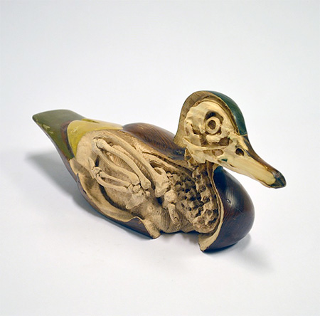 Maskull Lasserre Duck Skeleton