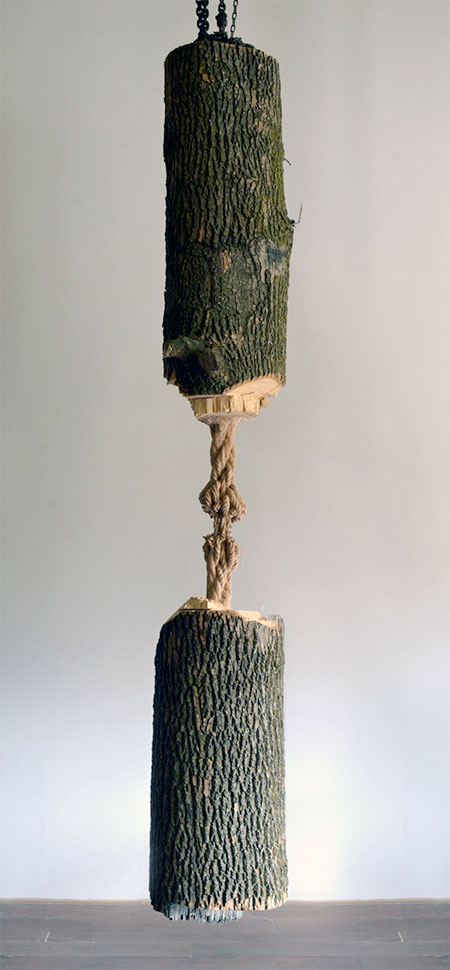 Carved Tree Rope