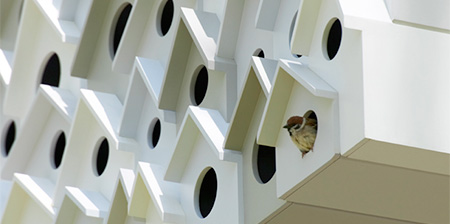 Bird Apartment